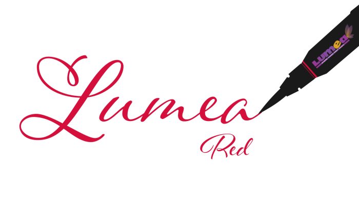 Red Edible Food Pen - Lumea - Image 2