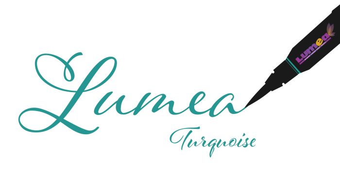 Turquoise Edible Food Pen - Lumea - Image 2