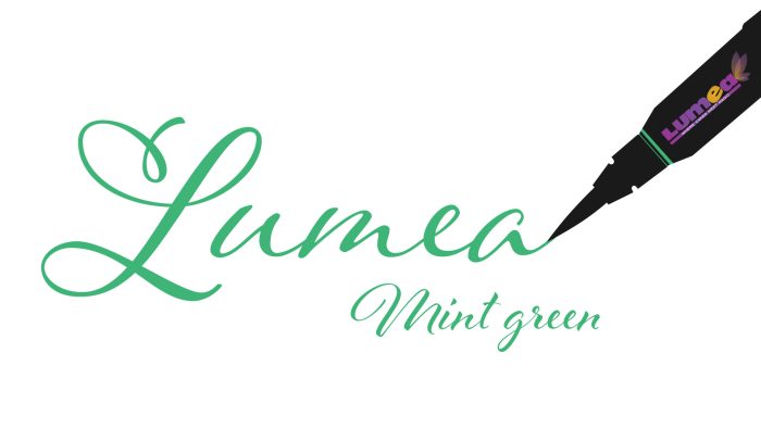 Mint Green Edible Food Pen - Lumea - Image 2