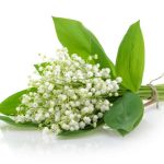 Lilly of the Walley Wafer Sheet - Lumea