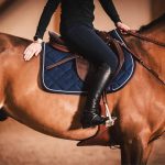 Equestrian, horse rider model 2 Wafer Sheet - Lumea