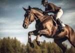 Equestrian, horse rider model 1 Wafer Sheet - Lumea