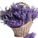 Bouquet of Lavender Wafer Sheet - Lumea