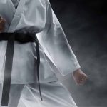 Martial Artist Wafer Sheet - Lumea