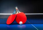 Table-Tennis model 2 Wafer Sheet - Lumea