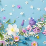 Different Flowers Wafer Sheet - Lumea