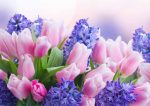 Bouquet of Tulips and Hyacinth model 1 Wafer Sheet - Lumea