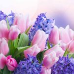 Bouquet of Tulips and Hyacinth model 1 Wafer Sheet - Lumea