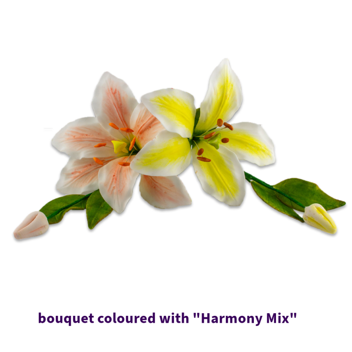 Harmony Mix Edible Powder Colour Kit - Lumea - Image 3